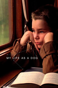 My Life as a Dog (1985) My Life as a Dog (1985)