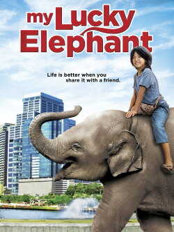 My Lucky Elephant (2013) My Lucky Elephant (2013)