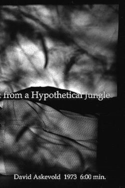 My Recall of an Imprint from a Hypothetical Jungle (1973) My Recall of an Imprint from a Hypothetical Jungle (1973)