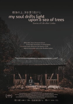 My Soul Drifts Light Upon a Sea of Trees (2019)