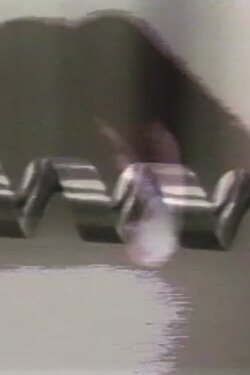 My TV Dictionary: The Drill (1986) My TV Dictionary: The Drill (1986)
