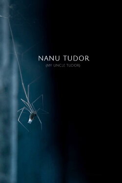 My Uncle Tudor (2021)