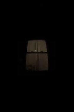 my window (2022)