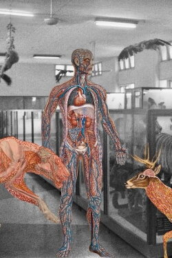 Myanmar Anatomy (2024) Myanmar Anatomy (2024)