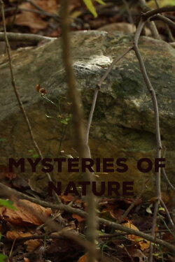 Mysteries of Nature (2023) Mysteries of Nature (2023)
