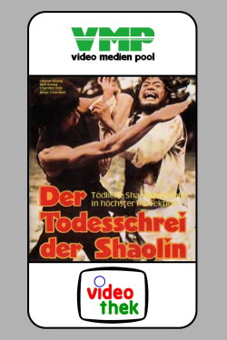 Mysterious Footworks of Kung Fu (1978) Mysterious Footworks of Kung Fu (1978)