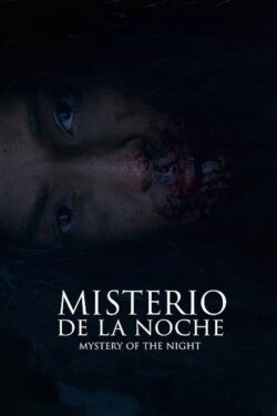 Mystery of the Night (2019) Mystery of the Night (2019)