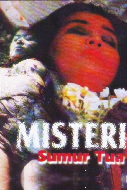 Mystery of the Old Well (1987) Mystery of the Old Well (1987)