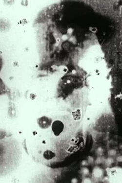N°5 (1998)