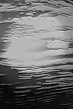 n e s t - smoke signals (2011) n e s t - smoke signals (2011)
