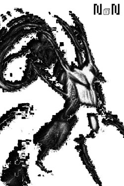 n x n (2021) n x n (2021)