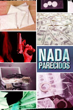 Nada parecidos (2012)