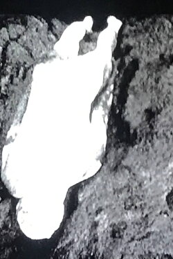 Naissance (1998)