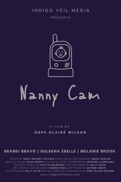Nanny Cam (2020)