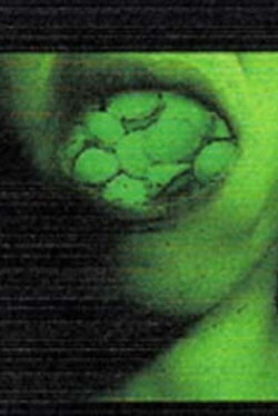 Naphthalene (2002)