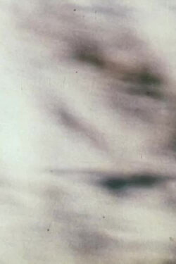 Narcisse Pretext (1992) Narcisse Pretext (1992)