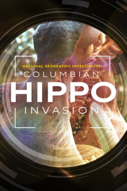 National Geographic Investigates - Invaders: Colombia's Hippos (2023) National Geographic Investigates - Invaders: Colombia's Hippos (2023)