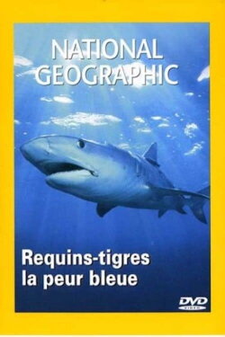 National Geographic : Requins-tigres, la peur bleue (2005) National Geographic : Requins-tigres, la peur bleue (2005)