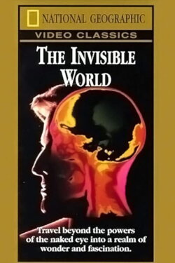 National Geographic: The Invisible World (1979)