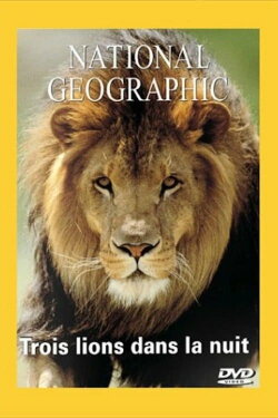 National Geographic : Trois lions dans la nuit (2002) National Geographic : Trois lions dans la nuit (2002)