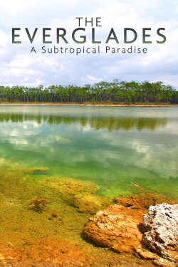 National Parks Exploration Series: The Everglades (2011) National Parks Exploration Series: The Everglades (2011)