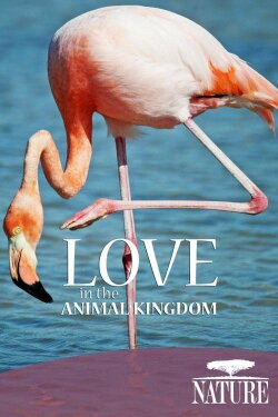 Nature: Love in the Animal Kingdom (2013) Nature: Love in the Animal Kingdom (2013)