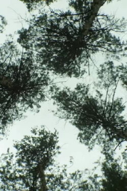 Nature_Nature (2018) Nature_Nature (2018)