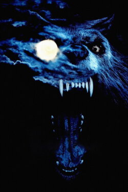 Nature of the Beast: Making Bad Moon (2016) Nature of the Beast: Making Bad Moon (2016)