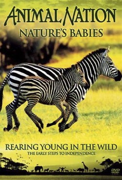 Nature's Babies: Rearing Young in the Wild (2007) Nature's Babies: Rearing Young in the Wild (2007)