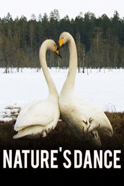 Nature's Dance (2008) Nature's Dance (2008)