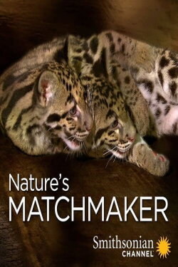 Nature's Matchmaker (2011)