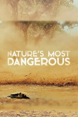 Nature's Most Dangerous (2021) Nature's Most Dangerous (2021)