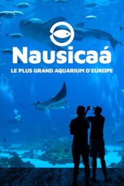 Nausicaa: The Largest Aquarium in Europe (2019) Nausicaa: The Largest Aquarium in Europe (2019)