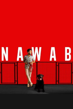 Nawab (2020) Nawab (2020)