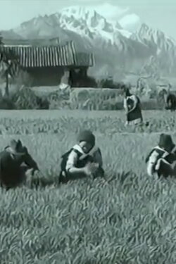 Naxi Art and Culture in Lijiang (1966) Naxi Art and Culture in Lijiang (1966)