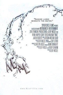 Neal (2011)