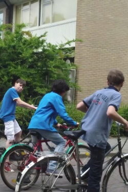 Nederlands Project: Top Gear (2014)