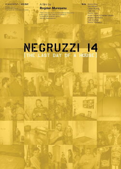 Negruzzi 14 (2016)