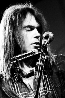 Neil Young – Live In Chicago 1992 (2011) Neil Young – Live In Chicago 1992 (2011)