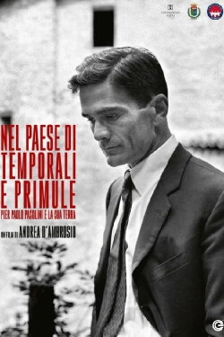 Nel paese di temporali e di primule - Pier Paolo Pasolini e la sua terra (2021)