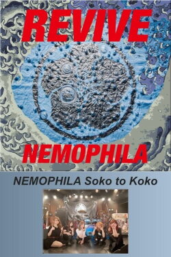 NEMOPHILA Soko to Koko (2021)