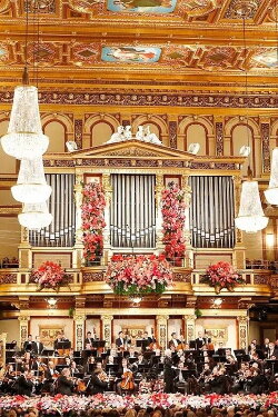 Neujahrskonzert der Wiener Philharmoniker 1988 (1988) Neujahrskonzert der Wiener Philharmoniker 1988 (1988)
