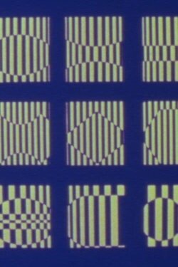 Neuron (1972)