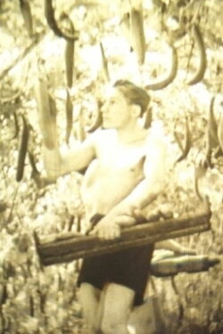 Neuzeitliche Moorkultivierung (1947) Neuzeitliche Moorkultivierung (1947)