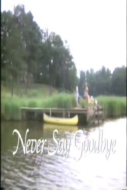 Never Say Goodbye (1984)
