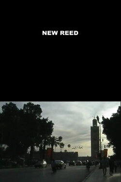 New Reed (2004) New Reed (2004)