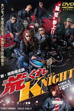 New Shonan Bombing Tribe: Rough KNIGHT (1998) New Shonan Bombing Tribe: Rough KNIGHT (1998)