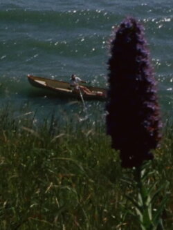 New Shores (2012)