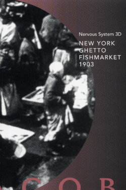 New York Ghetto Fishmarket 1903 (2007)