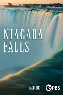 Niagara Falls (2023) Niagara Falls (2023)